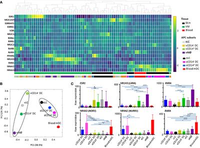 Differential expression of nuclear hormone receptors by dendritic cell subsets in human vaginal mucosa and skin